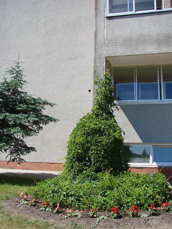 Pas Roma Hotel Sventoji Bagian luar foto